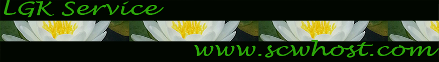 Web Hosting and Web Design Solutions